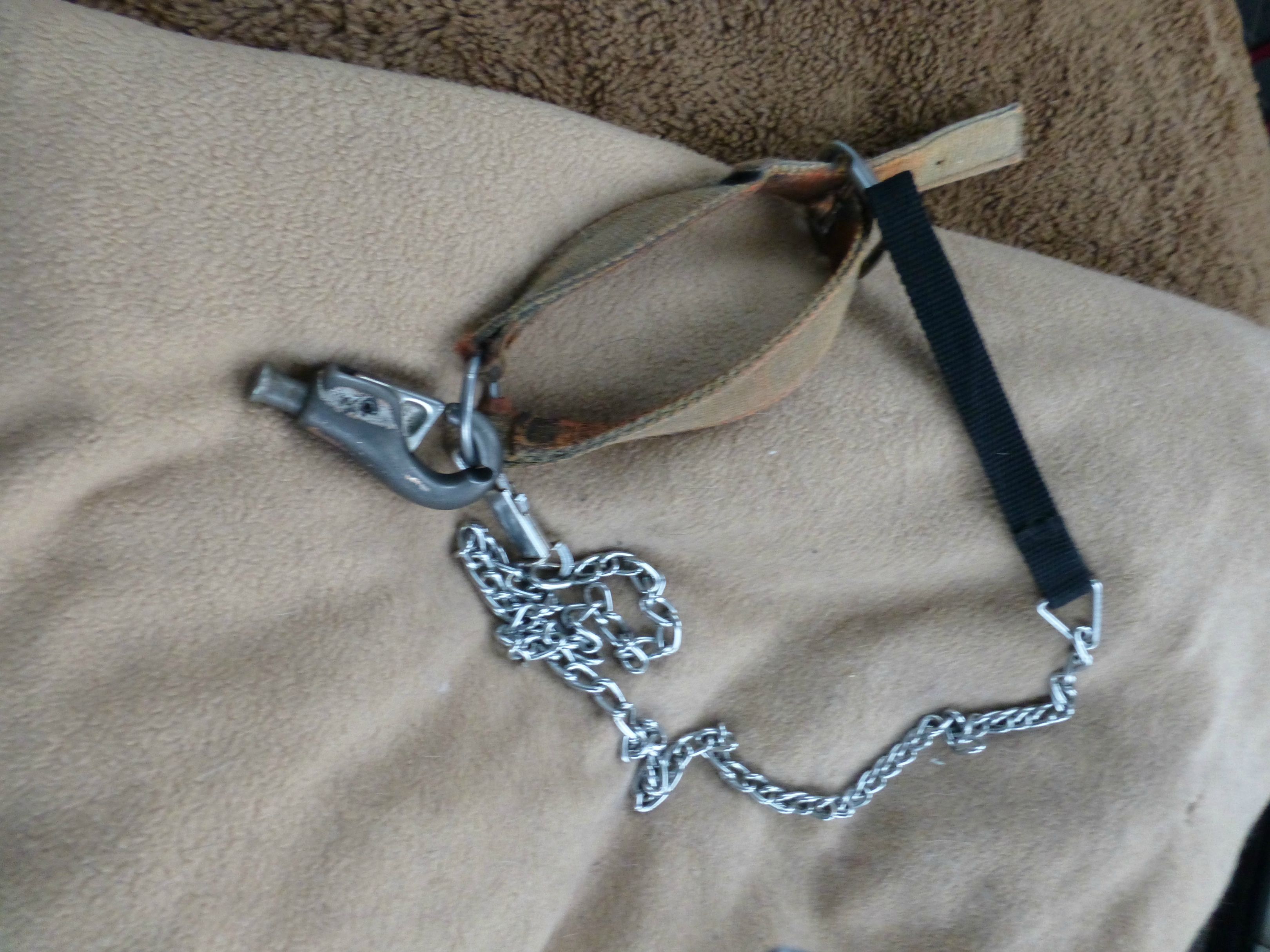 Rory's chain