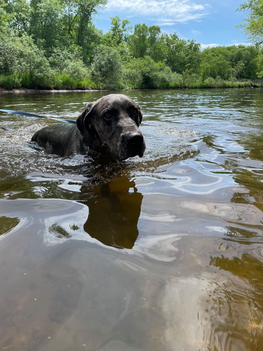 Axel swimming