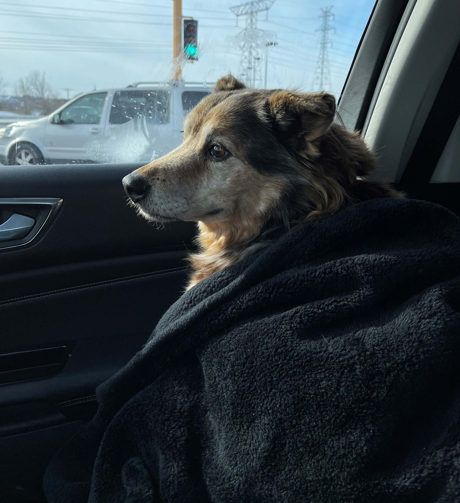 Baxter riding shotgun during the long transport