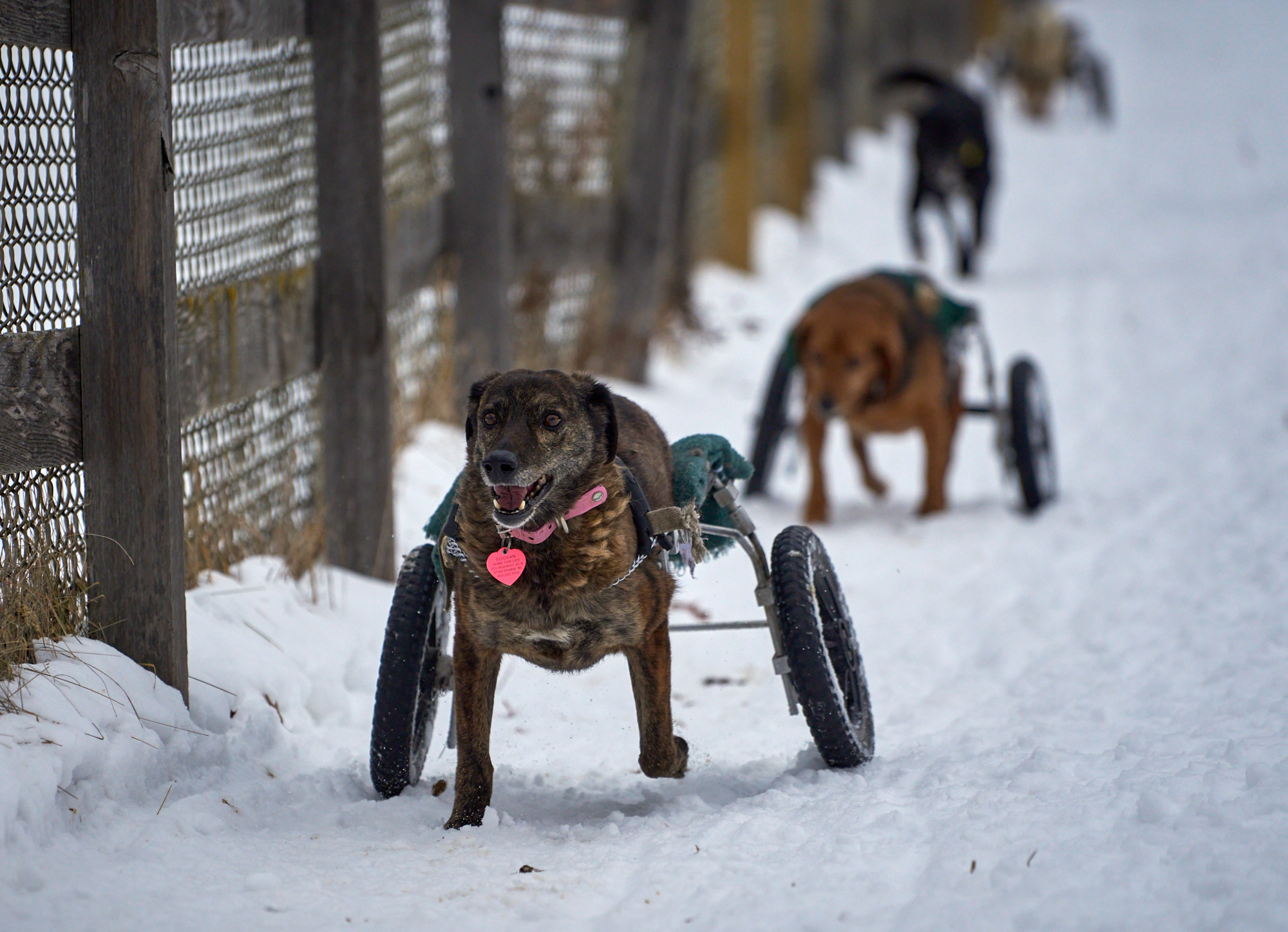 Soosan with others running in the snow