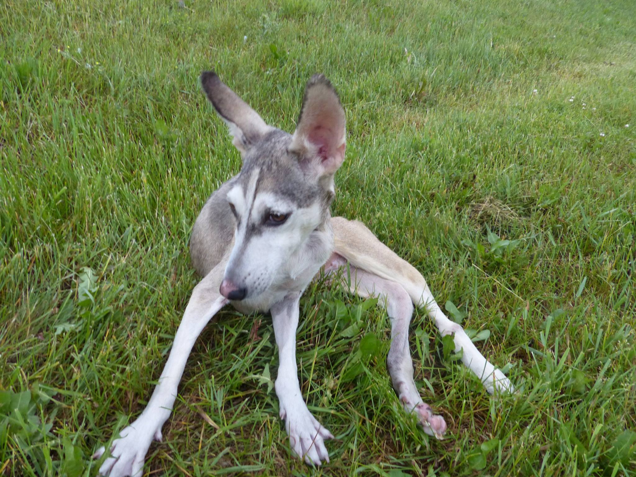 Hilly favors resting on the right side due to the way her injury healed