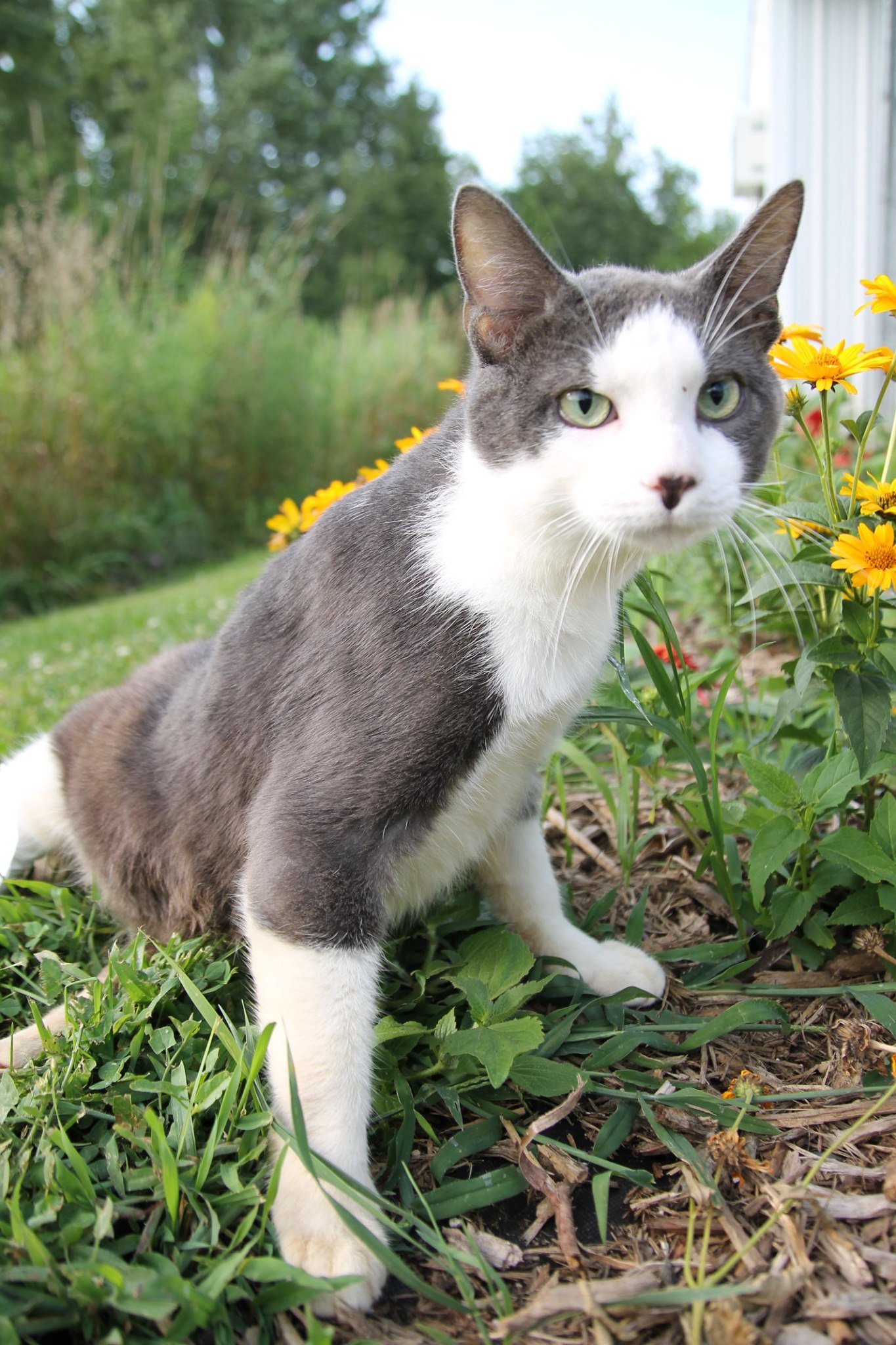 Above: Stop and Smell the flowers says Trooper