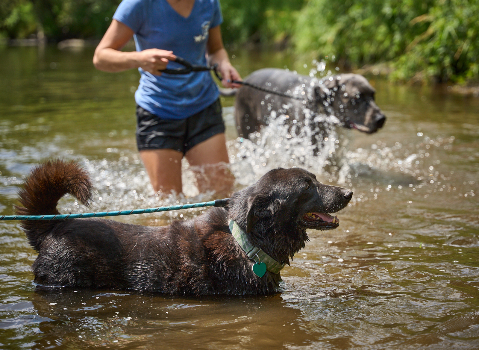 Having fun splashing in the water