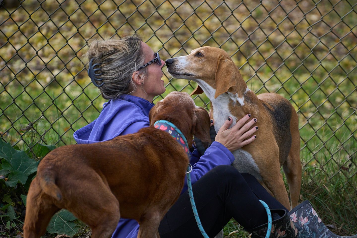 Above: Caden—The All-American Dog No One Wanted