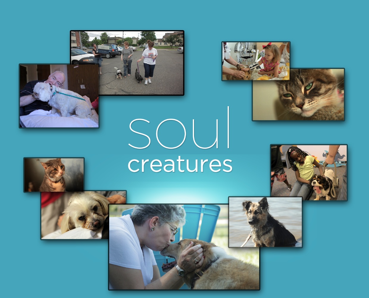 Watch Home for Life's Soul Creatures TPT feature online now!