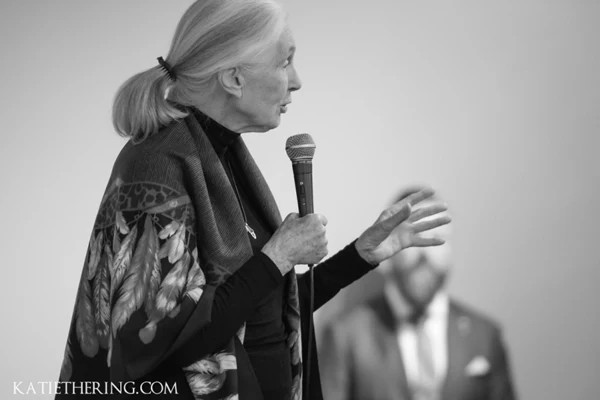 Jane Goodall addressing the attendees at the Home For Life Gala in 2018