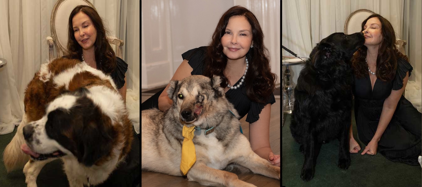 Ashley with Gracie, Poppy, and Makwa