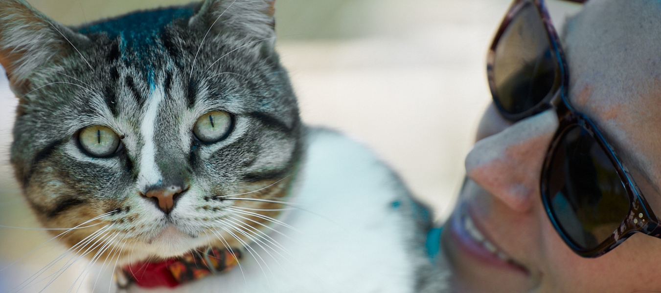 One of the Home For Life cats with a trainer in sunglasses