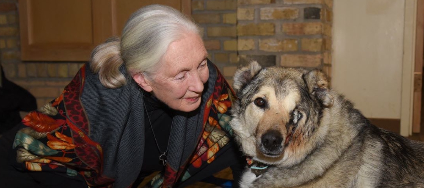 Dr. Goodall was delighted to meet Raha and very moved by his story.