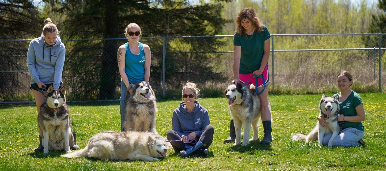 Home For Life staff with our dogs in the dandelion filled pasture.