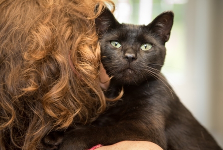 Unwanted Animals find Home for Life at Heavenly Sanctuary