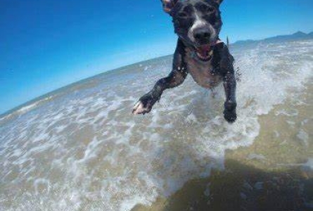 beach swim