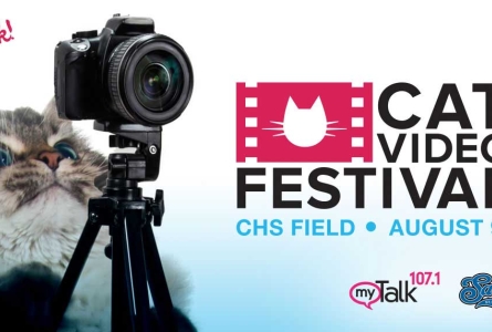 Cat video festival Ad