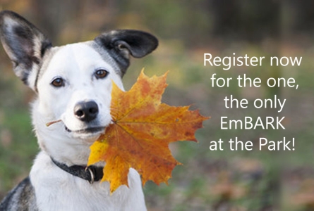 embark at the park dog with leaf