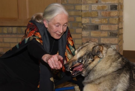 Jane Goodall with Raha at the 2018 Home For Life Gala