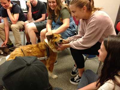 Poppy at Como outreach