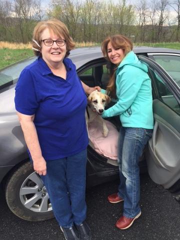 Mahtab with two of the volunteer drivers for the transport, Marjan and Jerri.