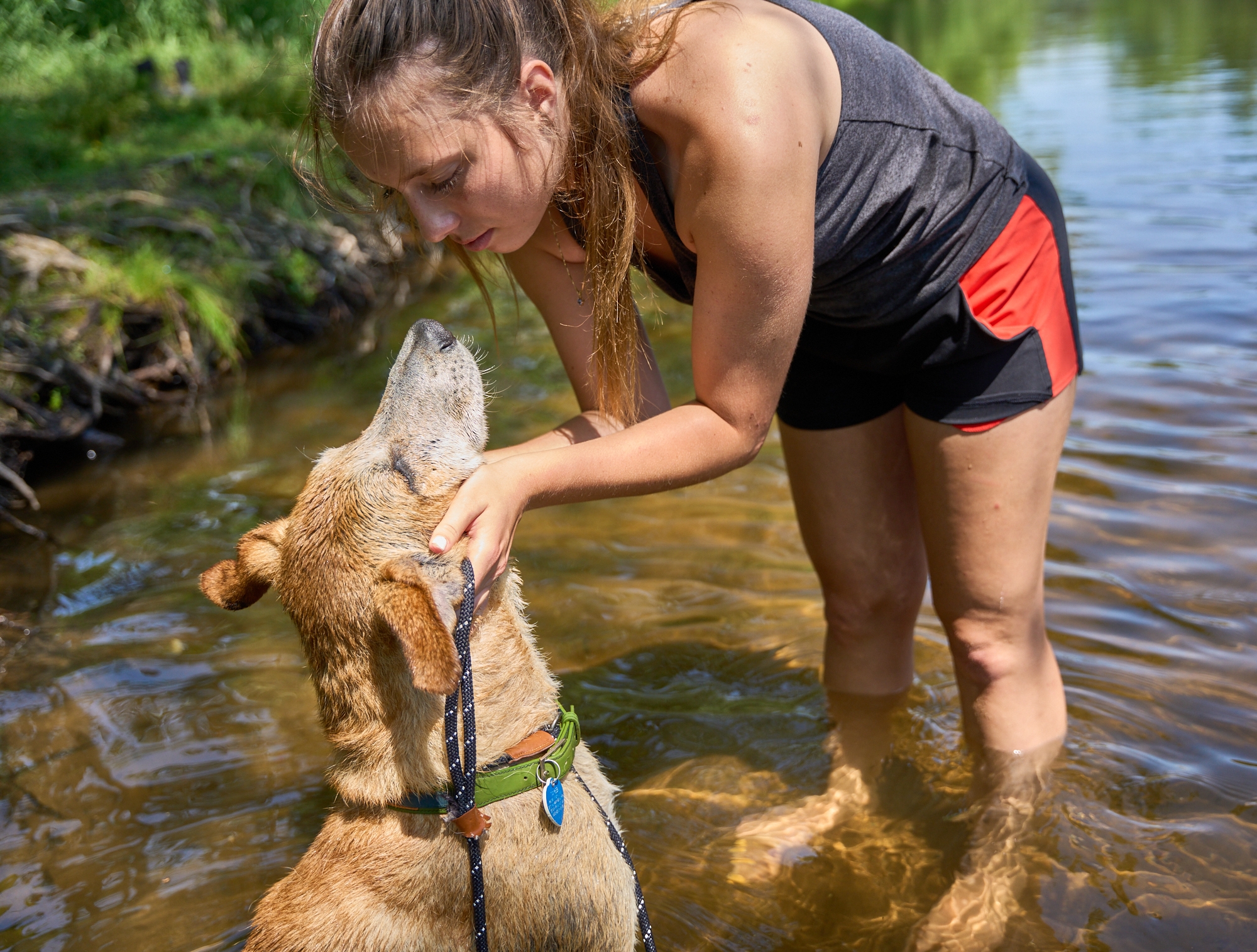 a touching photo of Stella, HFl animal care specialist with 3-legged Tayeb,