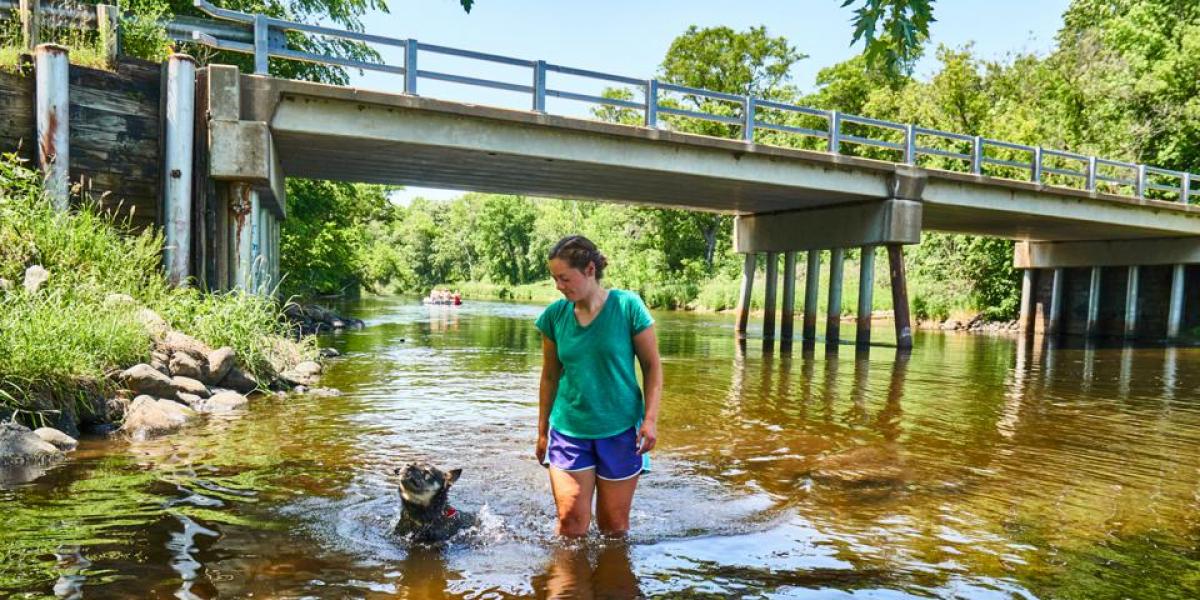 Swimming helps many of the canine residents.