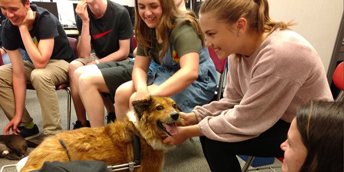 Poppy at Como High School