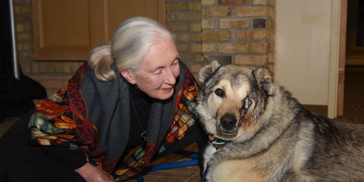 raha with Dr. Jane Goodalll