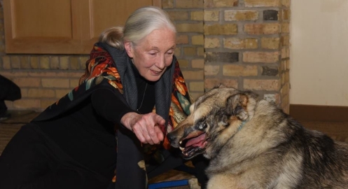 Jane Goodall with Raha at the 2018 Home For Life Gala